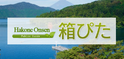 Japan Hakone Onsen,Hotels Guide [HAKOPITA]